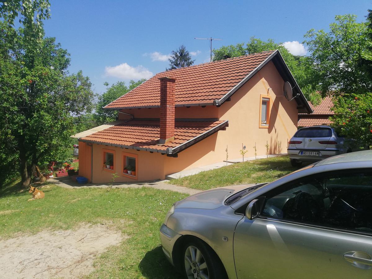 Guest House Jevtović Sremski Karlovci Zewnętrze zdjęcie