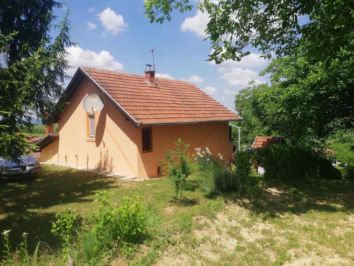 Guest House Jevtović Sremski Karlovci Zewnętrze zdjęcie