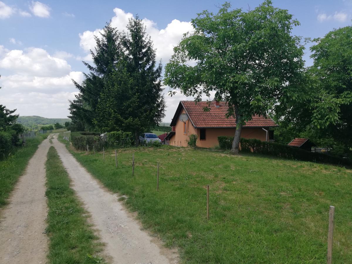 Guest House Jevtović Sremski Karlovci Zewnętrze zdjęcie