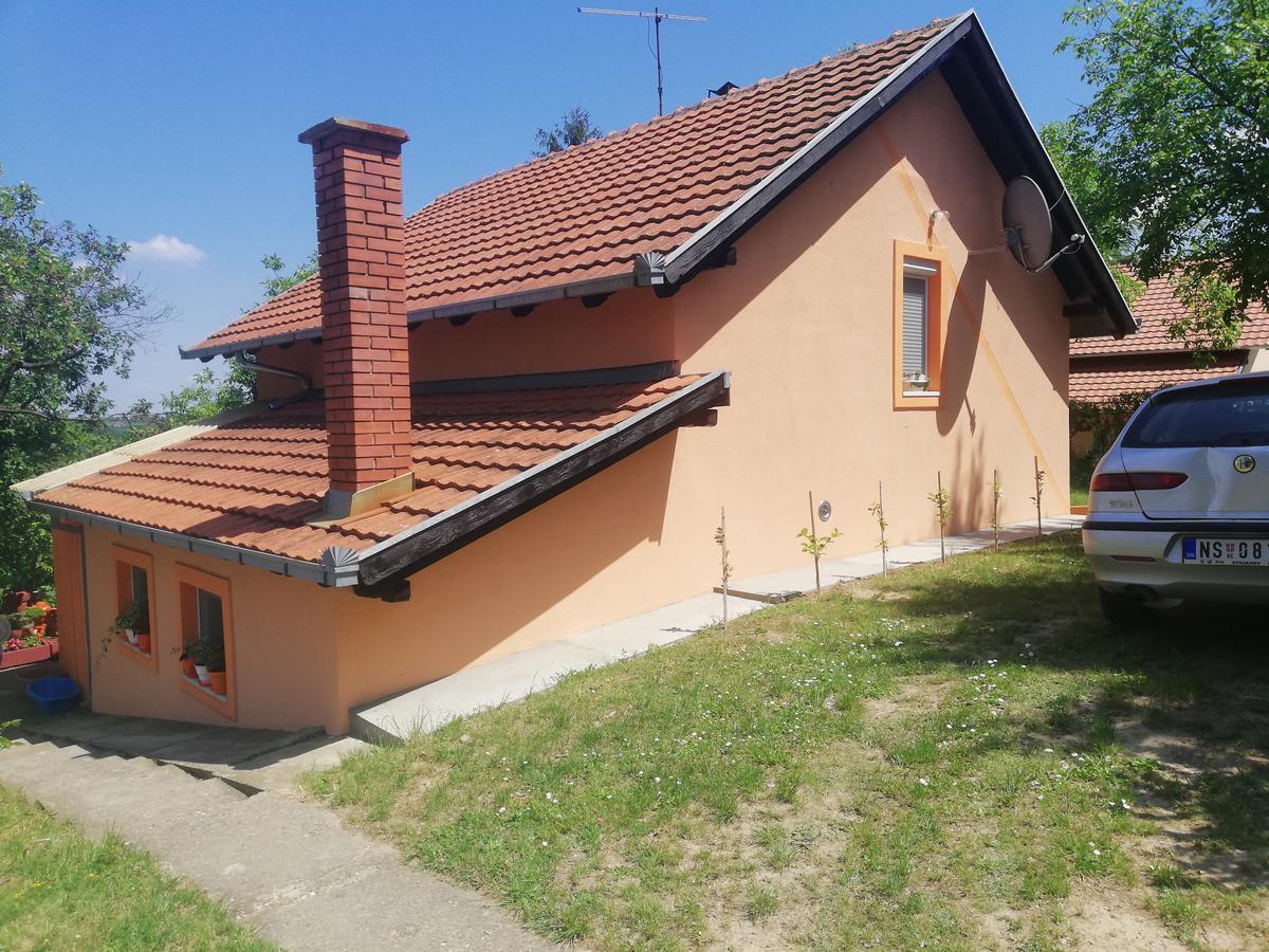 Guest House Jevtović Sremski Karlovci Zewnętrze zdjęcie